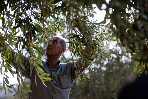 Nidal Al-Hassan in Portrait