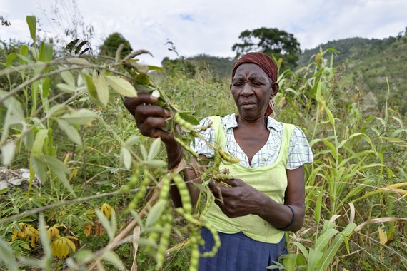 Janette Déjau erhielt ein Haus mit Regentonne und Bohnen, Cotes-de-Fer, Haiti; Foto: Florian Kopp / Diakonie