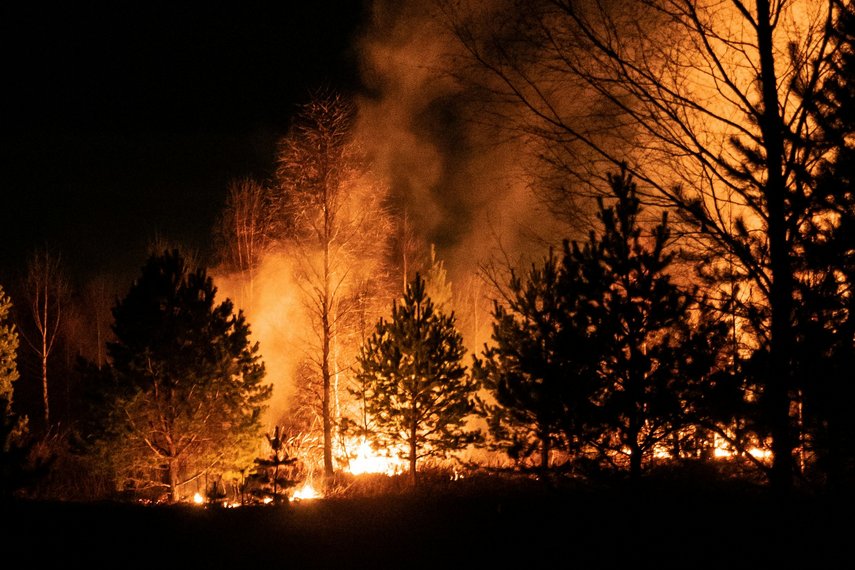 Brennender Wald bei Nacht