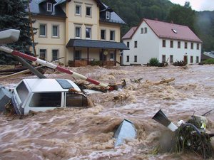 Projekt Bild