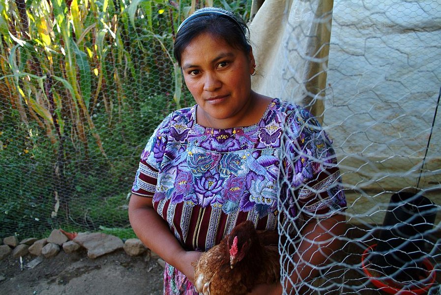 Eine Frau hält in Guatemala ein Huhn