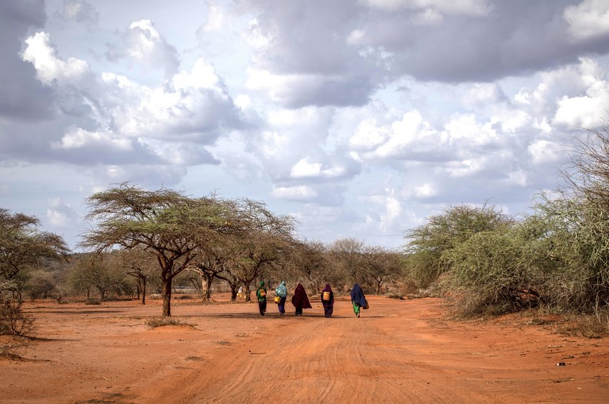 A group of women walks to collect water from a newly rehabilitated water tank close to Tarama village in north eastern Kenya, March 28, 2019. Drought has been gripping communities in a daily struggle for survival and water has become a precious commodity that only a few can afford in this region.