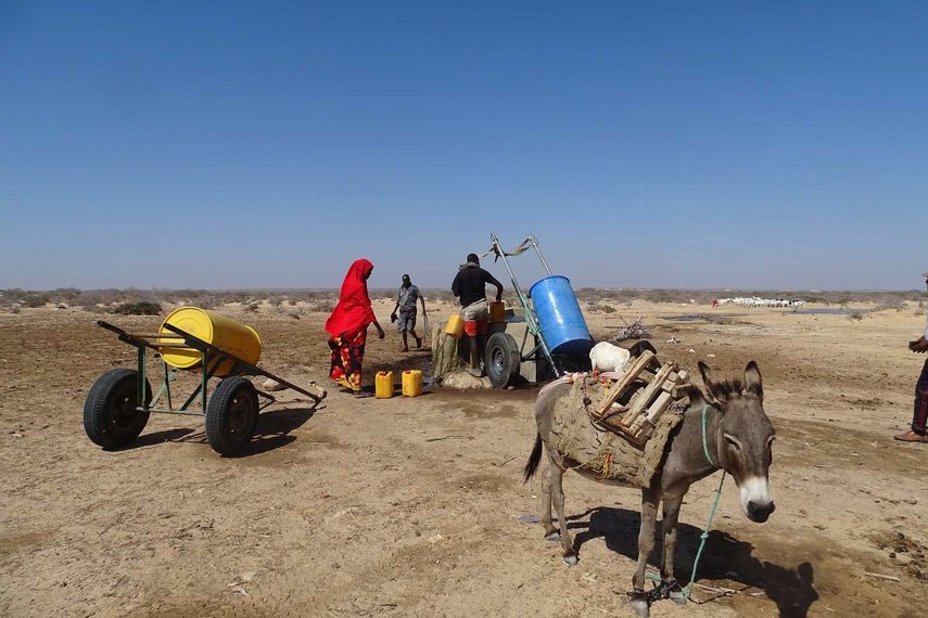 Frauen mit Ziegen in Somalia