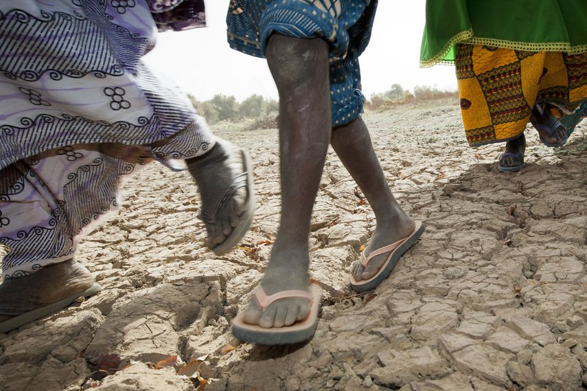 Im Niger fliehen Menschen zu Fuß vor der anhaltenden Dürre in der Sahelzone.