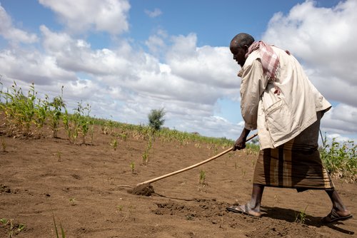 Dürre in Ostafrika: Bauer Adan Mohamed