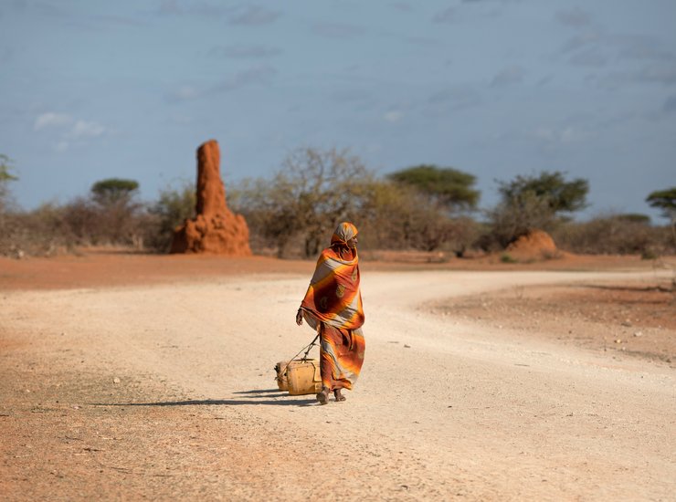 Dürre in Ostafrika